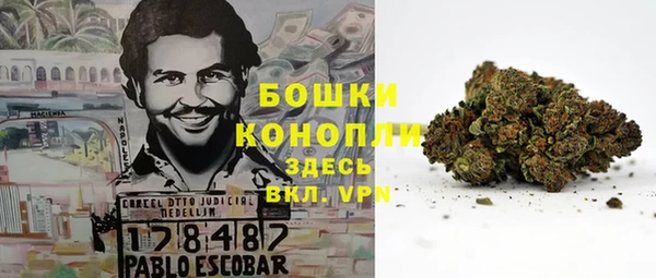 Альфа ПВП Беломорск