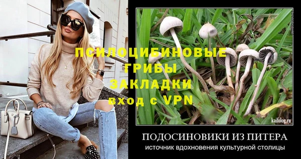 бутират Белокуриха