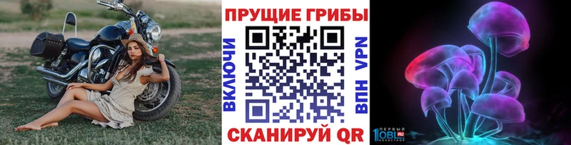 Купить закладки  Домодедово  Галлюциногенные грибы MAGIC MUSHROOMS 